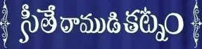 TV Serial