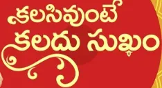 TV Serial