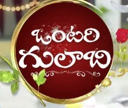 TV Serial