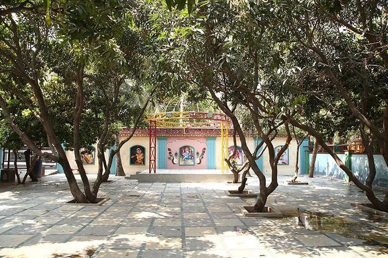 Open Air Lawns with Trees